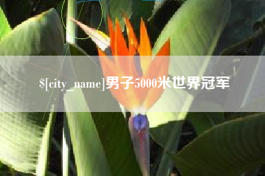 邢台男子5000米世界冠军
