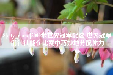 邢台5000米世界冠军配速-世界冠军们往往能在比赛中巧妙地分配体力
