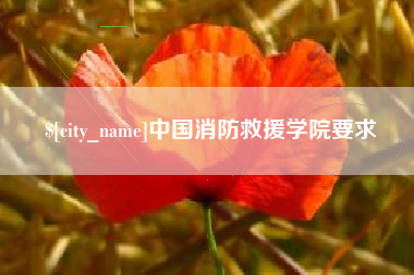 邢台中国消防救援学院要求