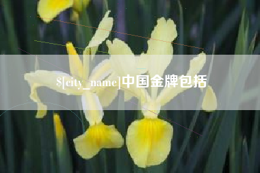 邢台中国金牌包括