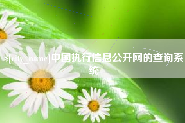 邢台中国执行信息公开网的查询系统