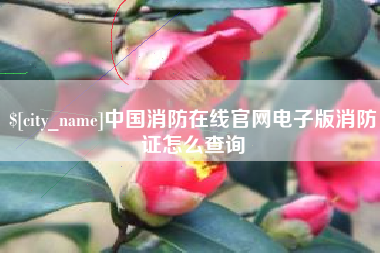 邢台中国消防在线官网电子版消防证怎么查询