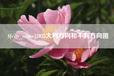 邢台2025大利方向和不利方向图