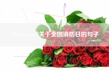 邢台关于全国消防日的句子