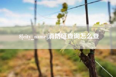 邢台消防证查询怎么查