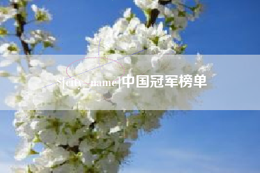 邢台中国冠军榜单