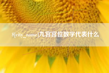 邢台九宫宫位数字代表什么