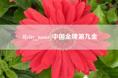 邢台中国金牌第九金
