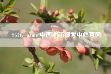 邢台中国消防报考中心官网