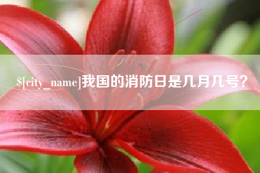 邢台我国的消防日是几月几号？