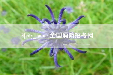 邢台全国消防招考网