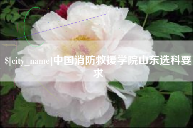 邢台中国消防救援学院山东选科要求