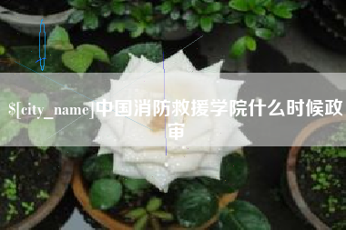 邢台中国消防救援学院什么时候政审