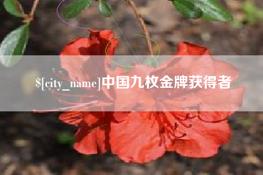 邢台中国九枚金牌获得者