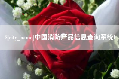 邢台中国消防产品信息查询系统1