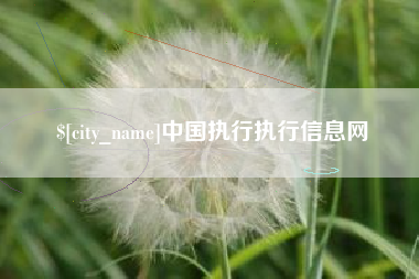邢台中国执行执行信息网