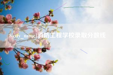 邢台消防工程学校录取分数线