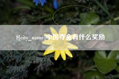 邢台中国夺金有什么奖励