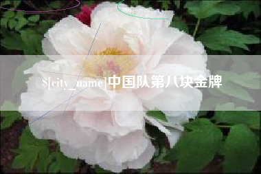 邢台中国队第八块金牌