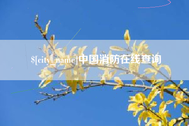 邢台中国消防在线查询