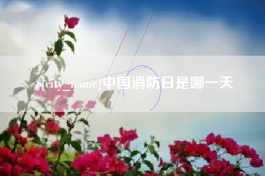 邢台中国消防日是哪一天