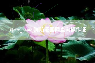 邢台消防证国网查询操作证