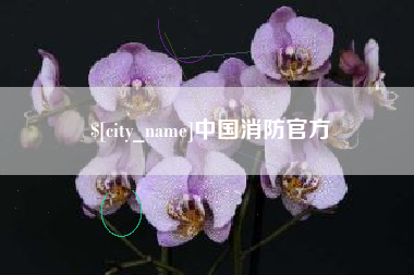 邢台中国消防官方