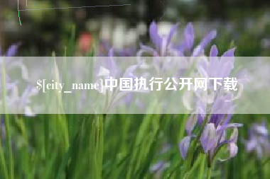 邢台中国执行公开网下载