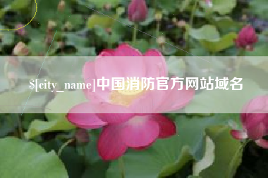 邢台中国消防官方网站域名
