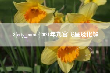 邢台2021年九宫飞星及化解