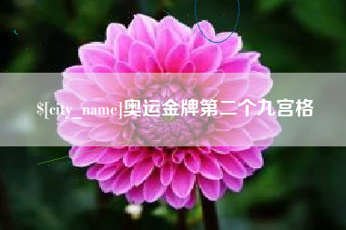 邢台奥运金牌第二个九宫格