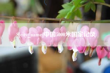 邢台中国5000米国家记录