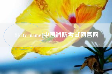 邢台中国消防考试网官网