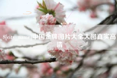 邢台中国金牌图片大全大图真实高清