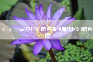 邢台中国消防直播回放中国消防直播