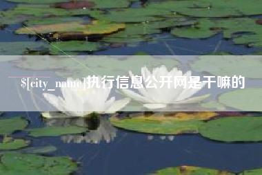 邢台执行信息公开网是干嘛的
