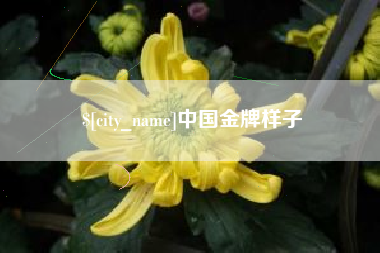 邢台中国金牌样子