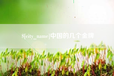 邢台中国的几个金牌