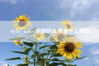 邢台中国的金牌是什么样的