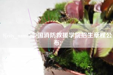 邢台中国消防救援学院招生章程公布!