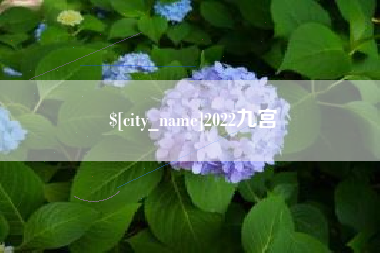 邢台2022九宫
