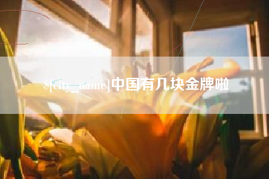 邢台中国有几块金牌啦