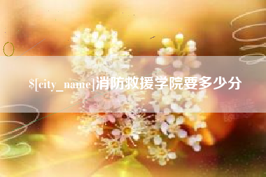 邢台消防救援学院要多少分